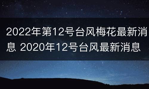 2022年第12号台风梅花最新消息 2020年12号台风最新消息