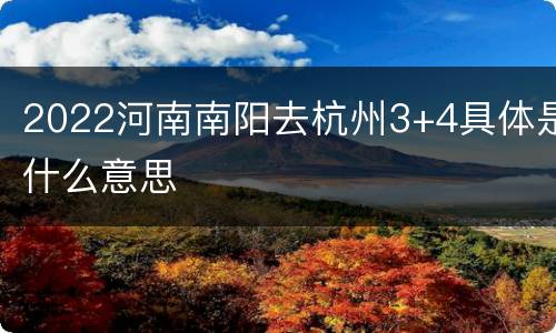 2022河南南阳去杭州3+4具体是什么意思