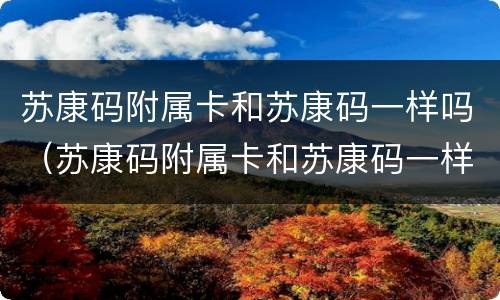 苏康码附属卡和苏康码一样吗（苏康码附属卡和苏康码一样吗怎么办）