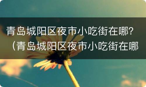 青岛城阳区夜市小吃街在哪？（青岛城阳区夜市小吃街在哪儿）