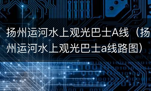 扬州运河水上观光巴士A线（扬州运河水上观光巴士a线路图）