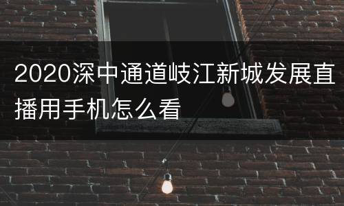 2020深中通道岐江新城发展直播用手机怎么看