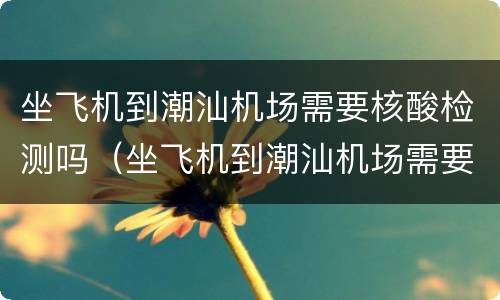 坐飞机到潮汕机场需要核酸检测吗（坐飞机到潮汕机场需要核酸检测吗今天）