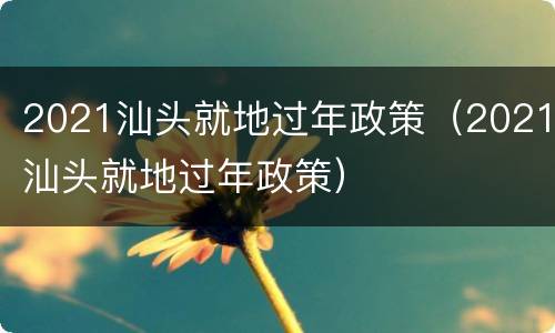 2021汕头就地过年政策（2021汕头就地过年政策）