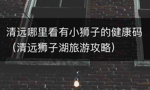 清远哪里看有小狮子的健康码（清远狮子湖旅游攻略）