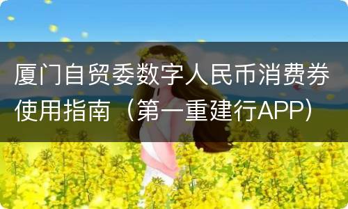 厦门自贸委数字人民币消费券使用指南（第一重建行APP）