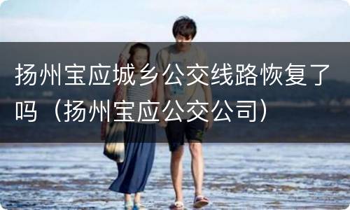 扬州宝应城乡公交线路恢复了吗（扬州宝应公交公司）