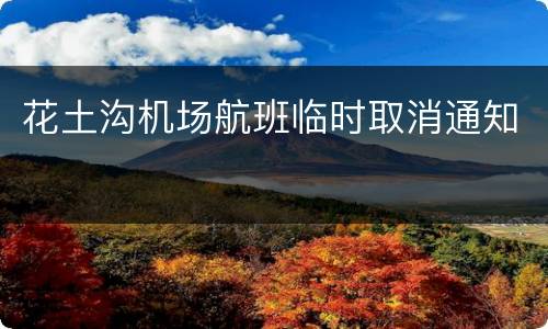 花土沟机场航班临时取消通知