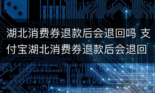 湖北消费券退款后会退回吗 支付宝湖北消费券退款后会退回吗