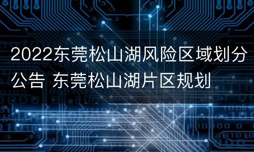 2022东莞松山湖风险区域划分公告 东莞松山湖片区规划