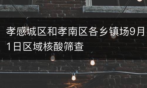 孝感城区和孝南区各乡镇场9月1日区域核酸筛查