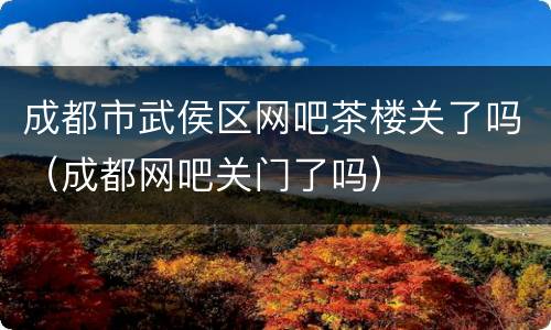 成都市武侯区网吧茶楼关了吗（成都网吧关门了吗）