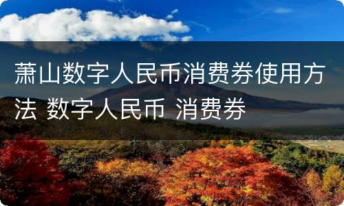 萧山数字人民币消费券使用方法 数字人民币 消费券