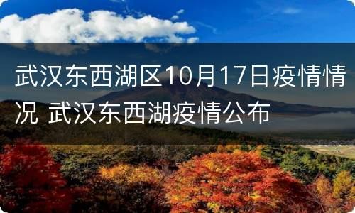 武汉东西湖区10月17日疫情情况 武汉东西湖疫情公布