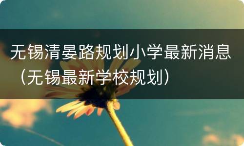 无锡清晏路规划小学最新消息（无锡最新学校规划）