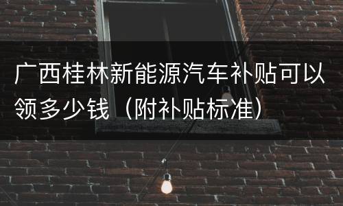 广西桂林新能源汽车补贴可以领多少钱（附补贴标准）