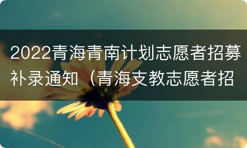 2022青海青南计划志愿者招募补录通知（青海支教志愿者招募2020）