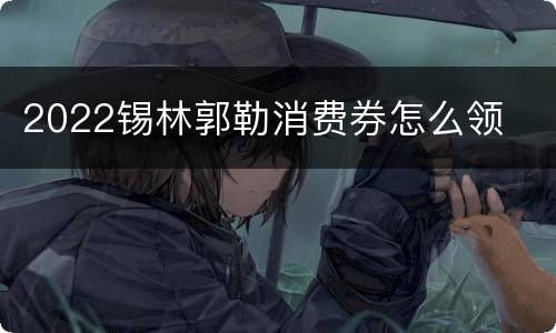 2022锡林郭勒消费券怎么领