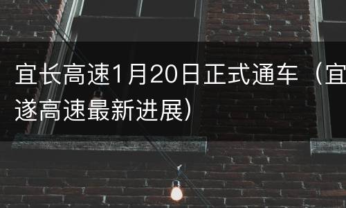 宜长高速1月20日正式通车（宜遂高速最新进展）
