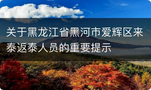 关于黑龙江省黑河市爱辉区来泰返泰人员的重要提示