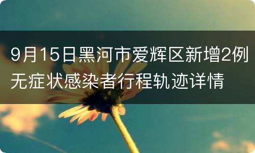 9月15日黑河市爱辉区新增2例无症状感染者行程轨迹详情