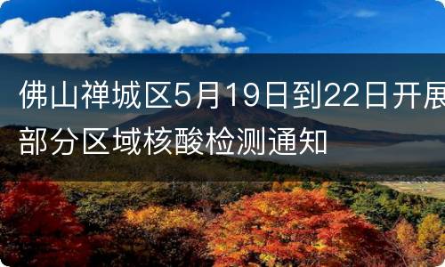 佛山禅城区5月19日到22日开展部分区域核酸检测通知