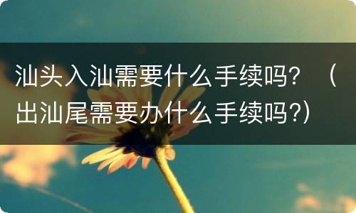 汕头入汕需要什么手续吗？（出汕尾需要办什么手续吗?）