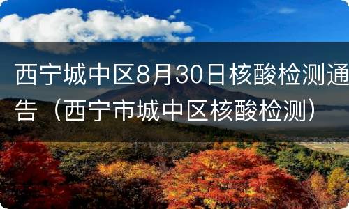 西宁城中区8月30日核酸检测通告（西宁市城中区核酸检测）