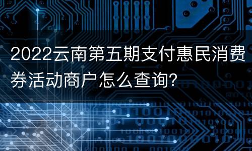 2022云南第五期支付惠民消费券活动商户怎么查询？