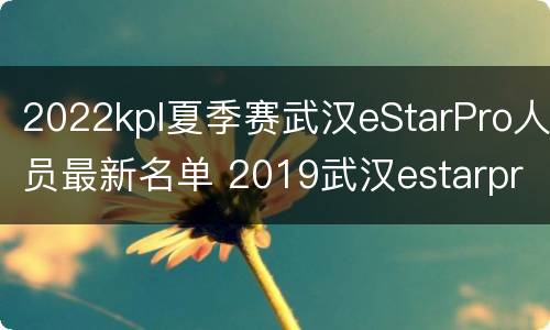 2022kpl夏季赛武汉eStarPro人员最新名单 2019武汉estarpro成员