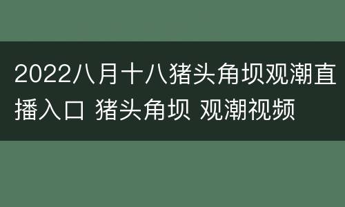2022八月十八猪头角坝观潮直播入口 猪头角坝 观潮视频
