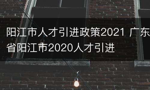 阳江市人才引进政策2021 广东省阳江市2020人才引进