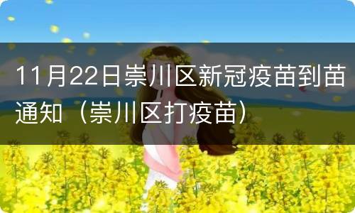 11月22日崇川区新冠疫苗到苗通知（崇川区打疫苗）
