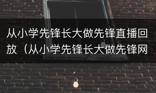 从小学先锋长大做先锋直播回放（从小学先锋长大做先锋网络直播）