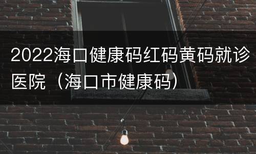 2022海口健康码红码黄码就诊医院（海口市健康码）