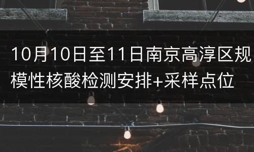10月10日至11日南京高淳区规模性核酸检测安排+采样点位
