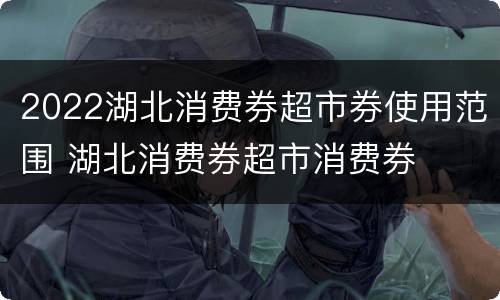 2022湖北消费券超市券使用范围 湖北消费券超市消费券