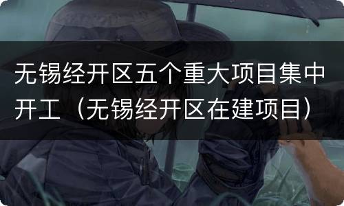 无锡经开区五个重大项目集中开工（无锡经开区在建项目）