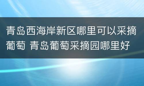 青岛西海岸新区哪里可以采摘葡萄 青岛葡萄采摘园哪里好