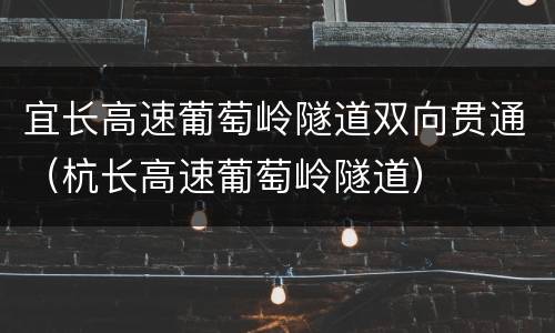 宜长高速葡萄岭隧道双向贯通（杭长高速葡萄岭隧道）