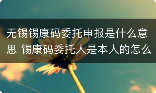 无锡锡康码委托申报是什么意思 锡康码委托人是本人的怎么填