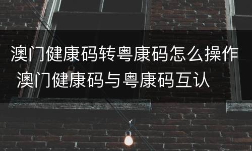 澳门健康码转粤康码怎么操作 澳门健康码与粤康码互认