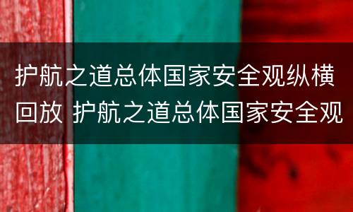 护航之道总体国家安全观纵横回放 护航之道总体国家安全观纵横回放视频