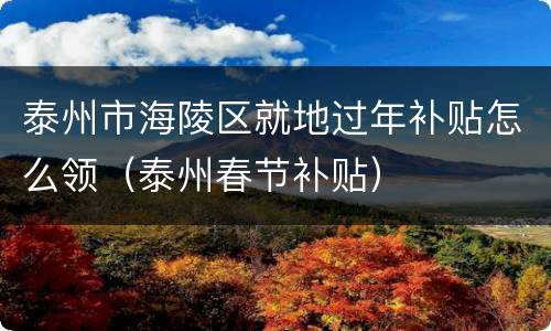 泰州市海陵区就地过年补贴怎么领（泰州春节补贴）