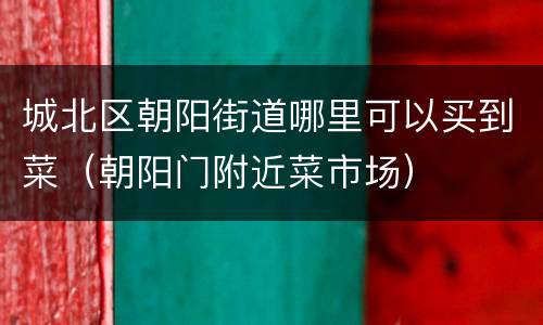 城北区朝阳街道哪里可以买到菜（朝阳门附近菜市场）