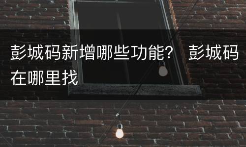 彭城码新增哪些功能？ 彭城码在哪里找