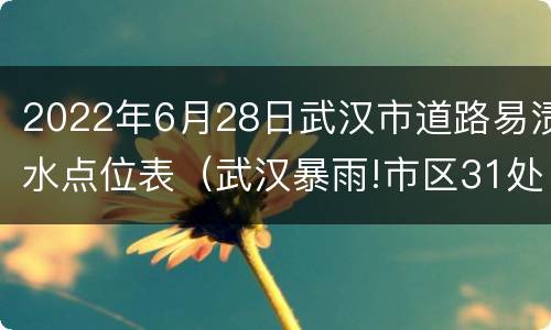 2022年6月28日武汉市道路易渍水点位表（武汉暴雨!市区31处路段有渍水）