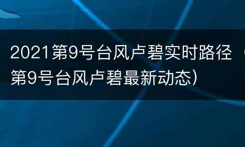2021第9号台风卢碧实时路径（第9号台风卢碧最新动态）