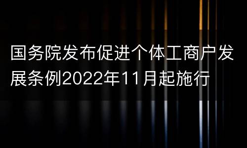 国务院发布促进个体工商户发展条例2022年11月起施行