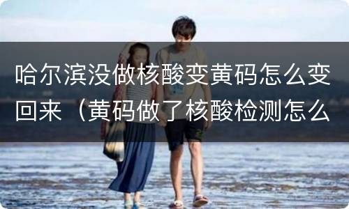 哈尔滨没做核酸变黄码怎么变回来（黄码做了核酸检测怎么还没变回来）